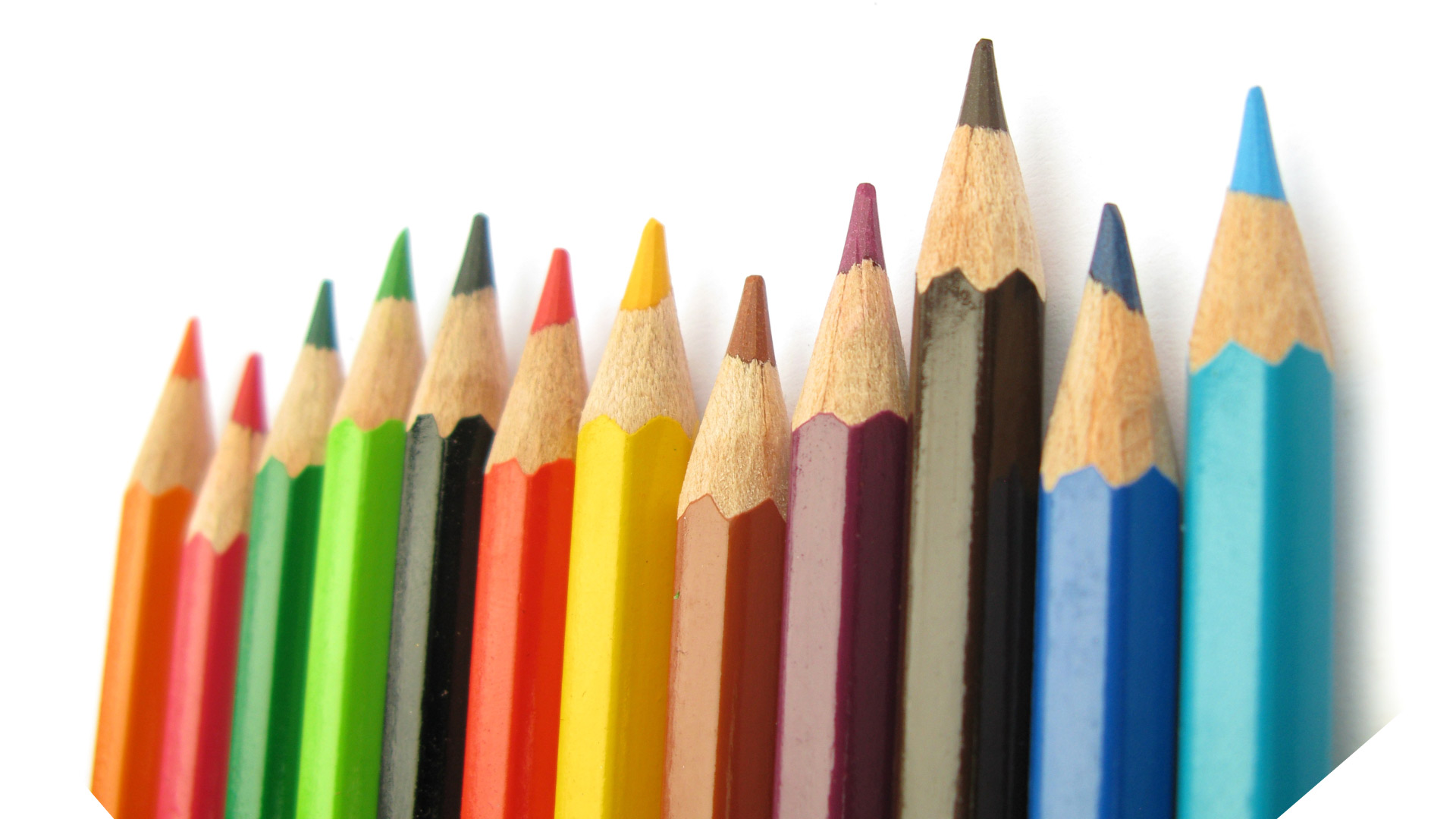 Coloured pencils lined up in a row
