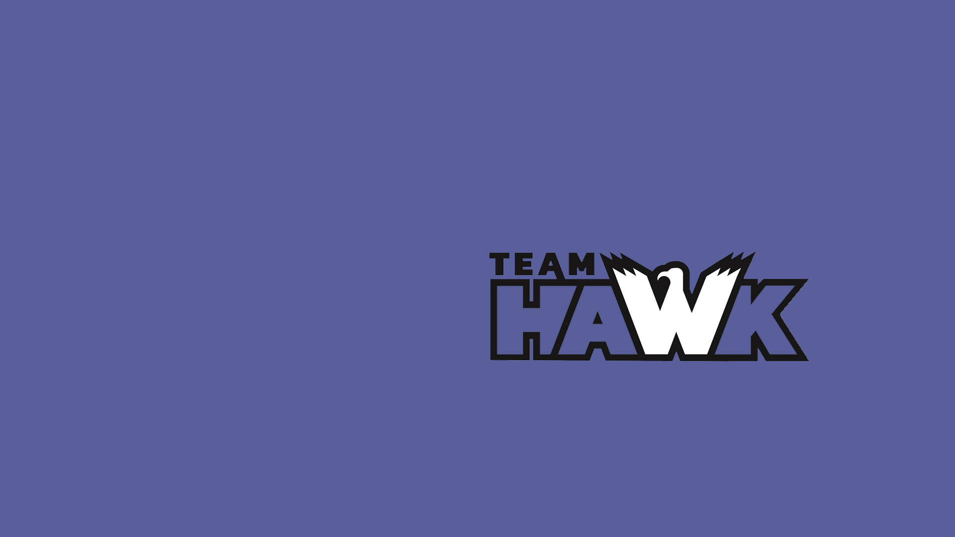 team hawk logo header