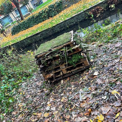 Bug hotel