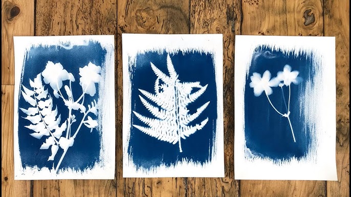Cyanotype Printing 1