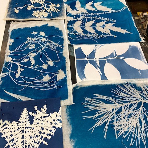Cyanotype Printing 2