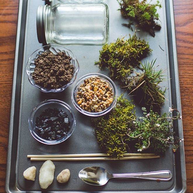 Mini Moss Terrariums 2
