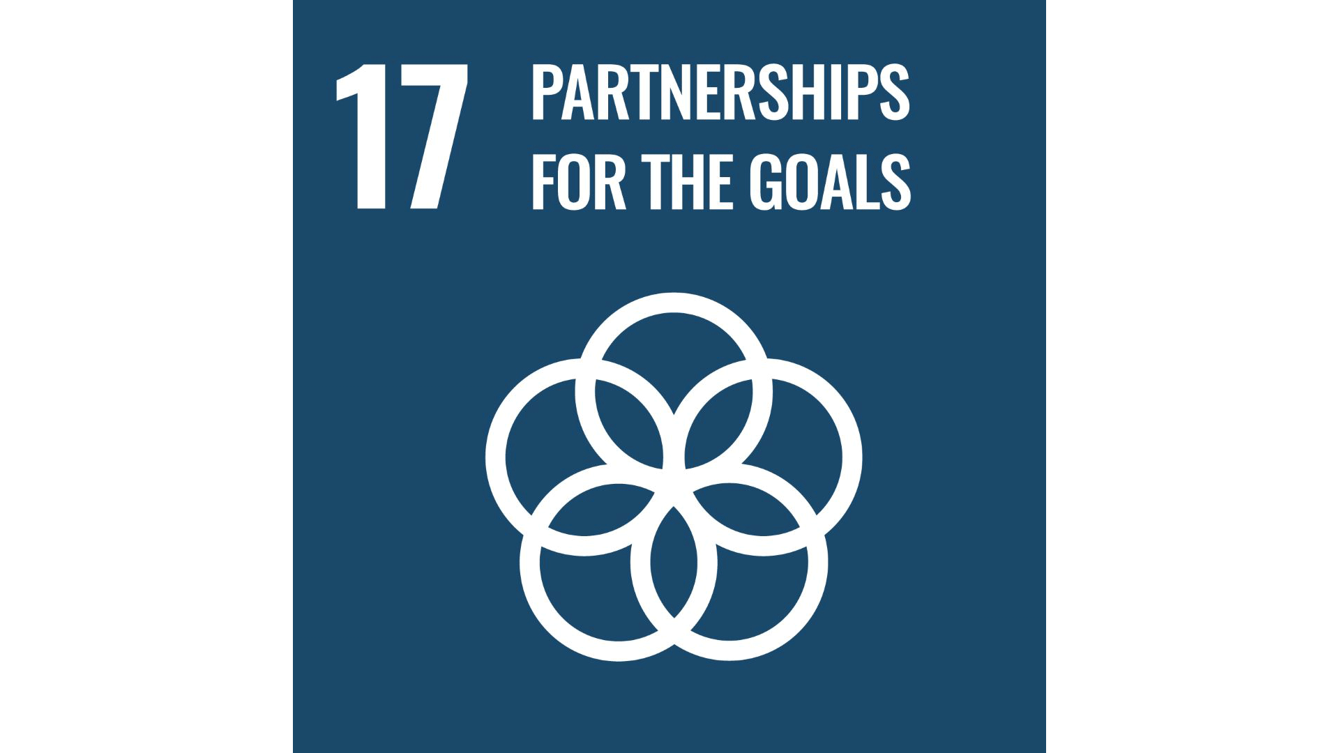 Graphic of the logo for UN SDG 17 - Partnerships for the goals