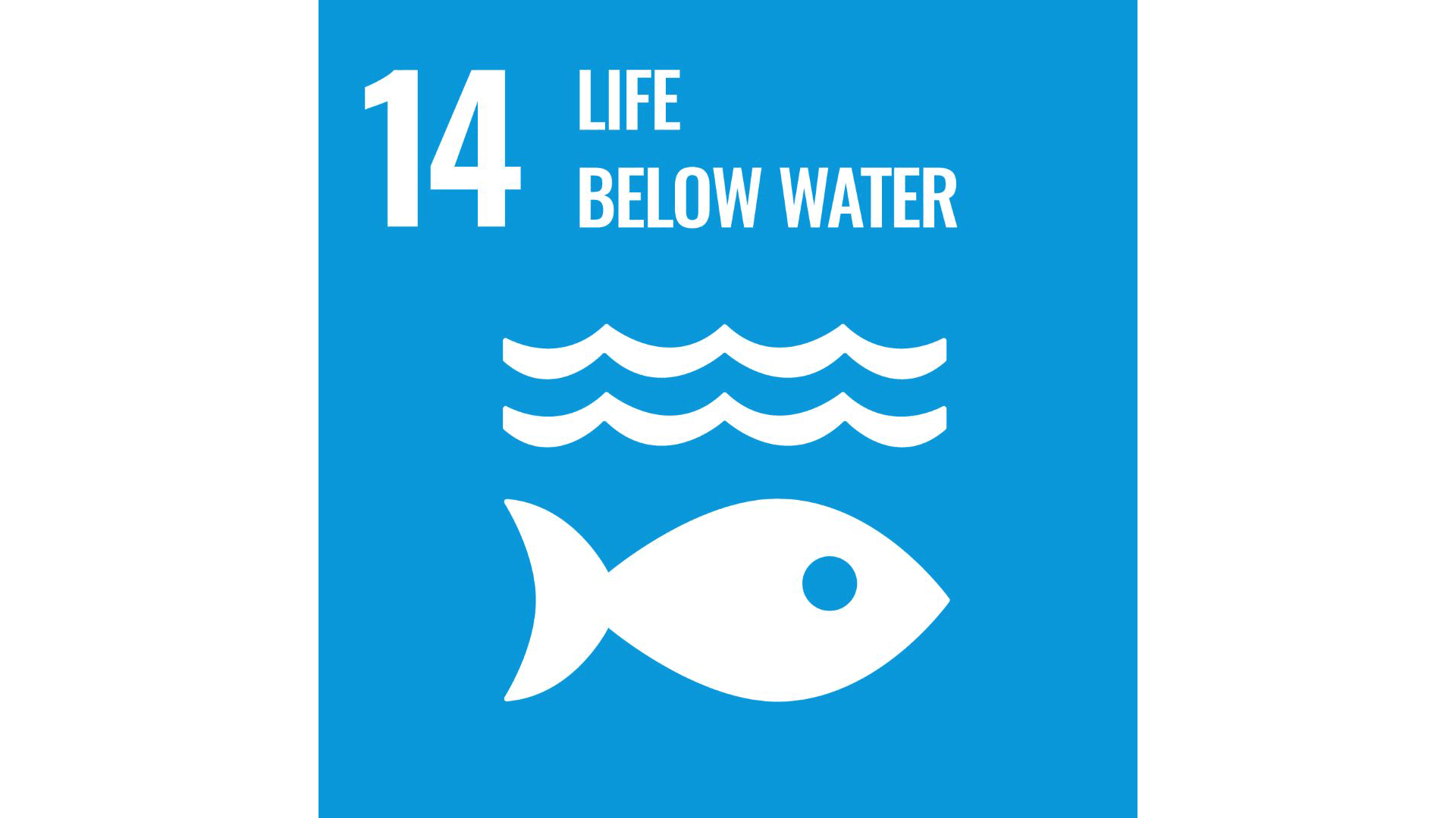 Graphic of the logo for UN SDG 14 - Life below water