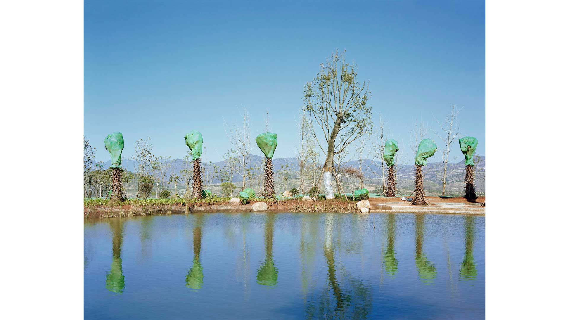 D19-Haidong North Mountain Forest Park construction site, Dali, China, 2017. From 'Forest' series (2010-2017) - ©Yan Wang Preston