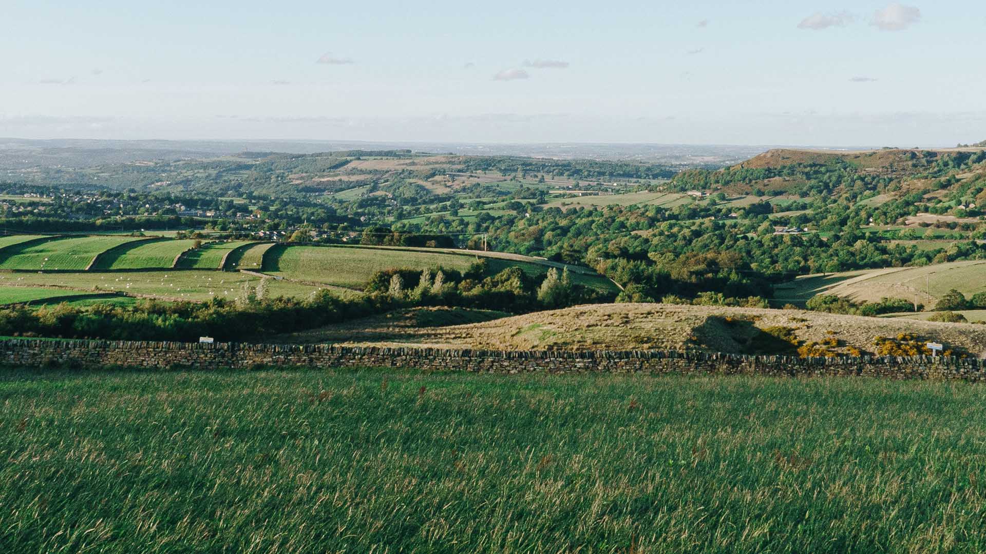 A view of Kirklees from Hade Edge near Holmfirth Photo by Greg Trowman on Unsplash